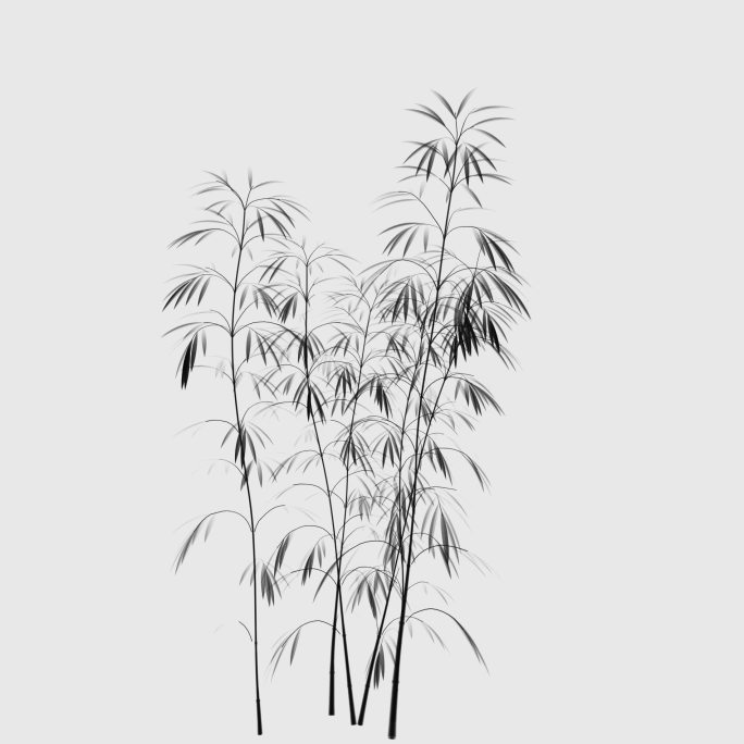 水墨动态竹子生长