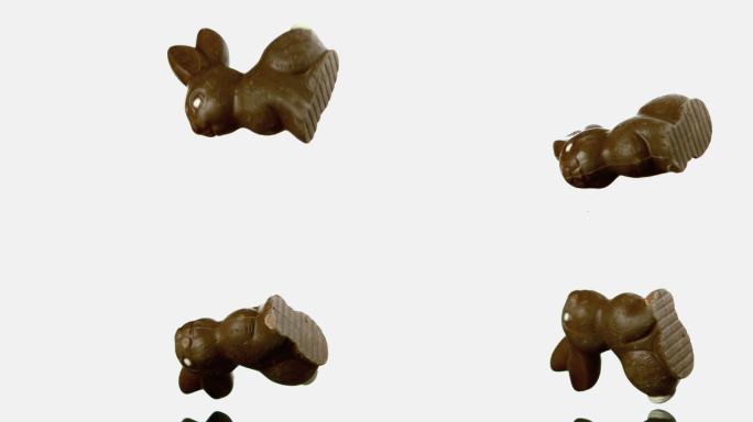 掉落的巧克力兔子特写
