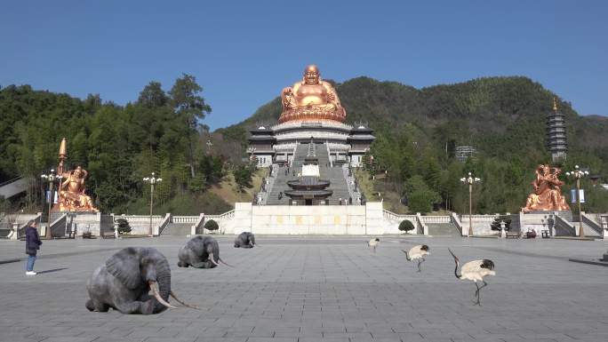 4K宁波奉化溪口雪窦寺灵象鹤礼拜弥勒大佛