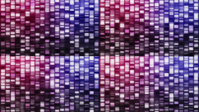 下落的DNA链在黑色的背景上以粉红色、紫色和蓝色呈现