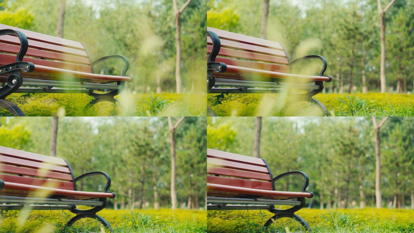 滑轨拍摄公园温馨长椅