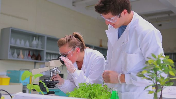 化学家们在实验室里观察烧杯里的液体特写