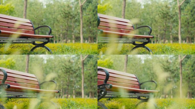 滑轨拍摄公园温馨长椅