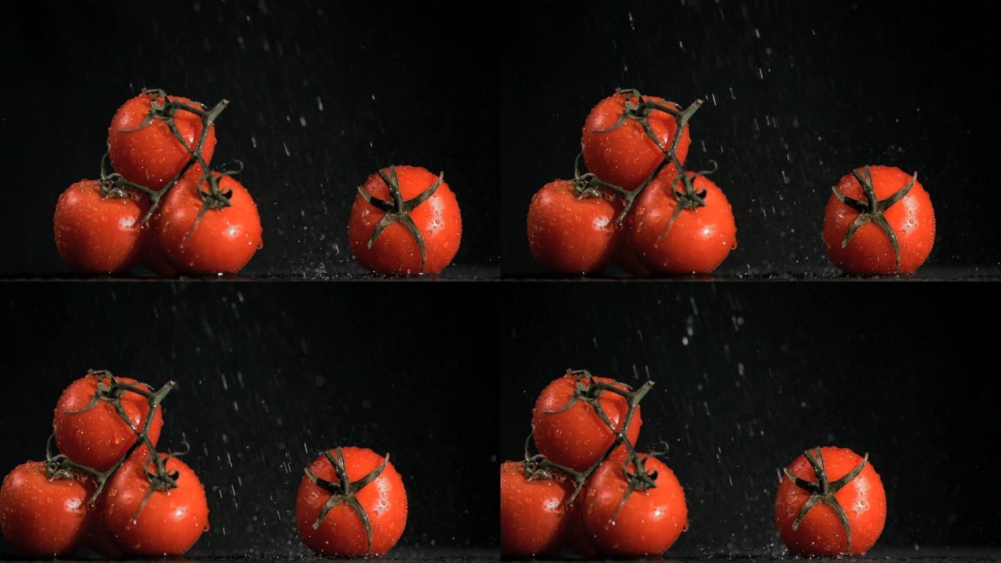 番茄特写西红柿