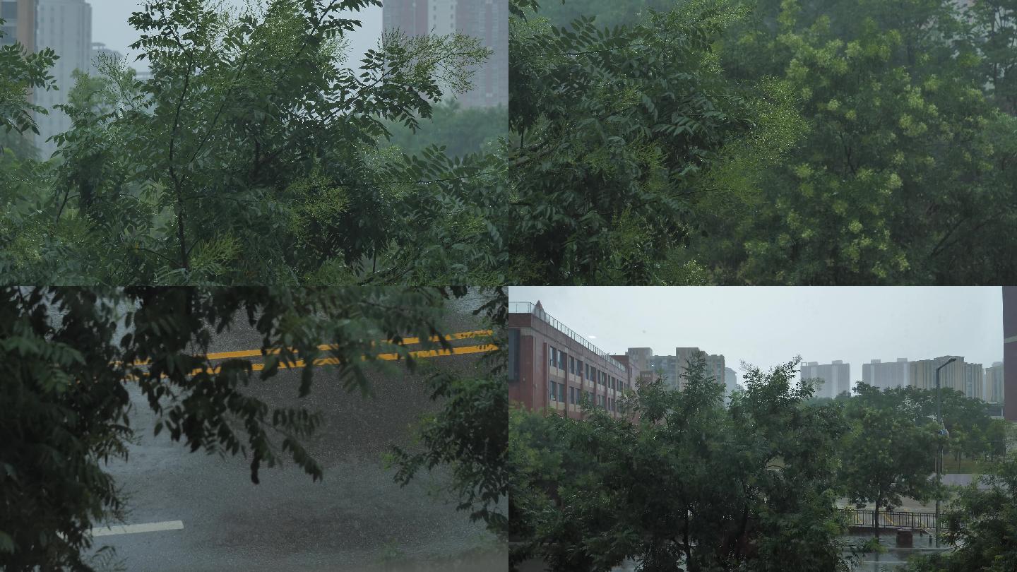 实拍北方窗外大雨素材