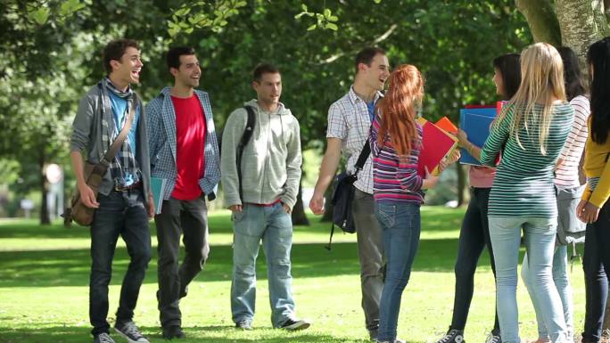 一群快乐的学生在大学校园外聚会