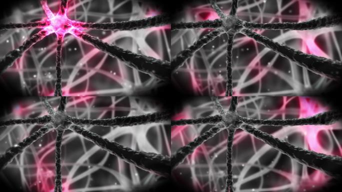 粉红色的神经元穿过神经系统，黑色的
