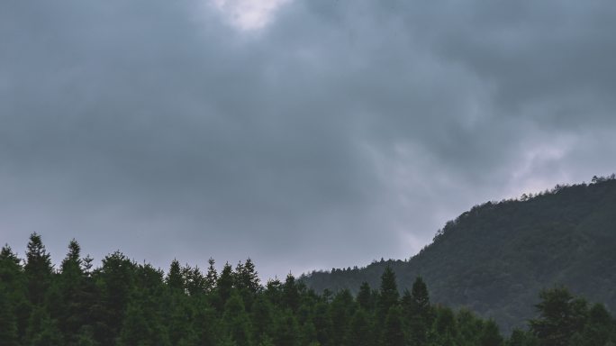 暴雨将至