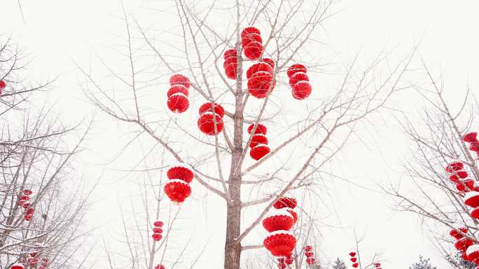雪中北京地毯公园红灯笼