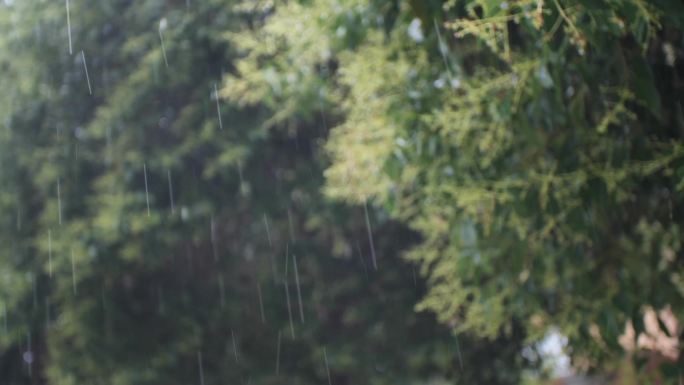 暴雨中行走的人和雨水空镜