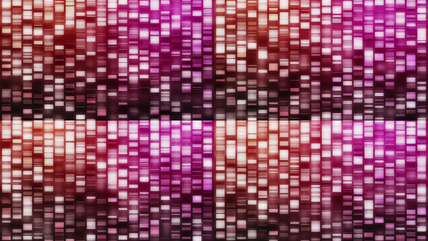 在黑色的背景上，呈粉红色、紫色和橙色的下降的DNA链