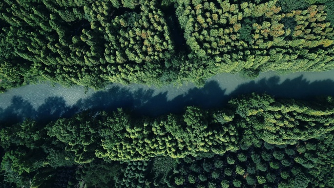 生态河道 朱家湾林盘 优美生态乡村