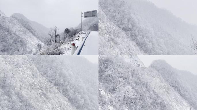 大山里的雪