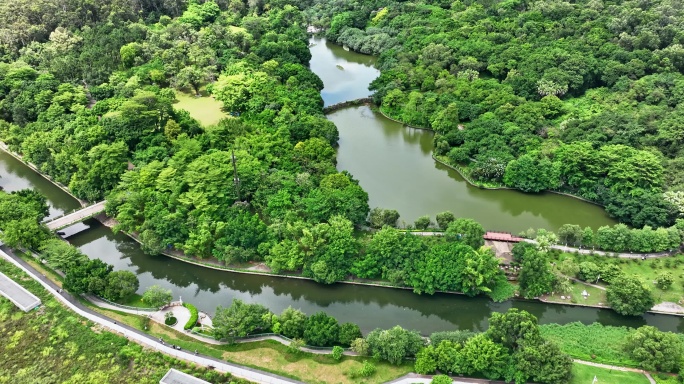 【正版素材】深圳笔架山公园0070