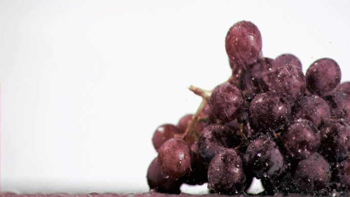 超级慢镜头中的紫葡萄被浸泡在白色的背景下