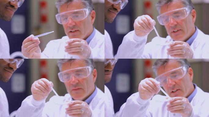 化学家们在实验室里观察试管里的液体特写