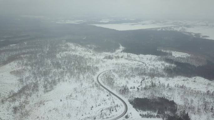 原创 日本北海道雪原公路自驾游风光航拍