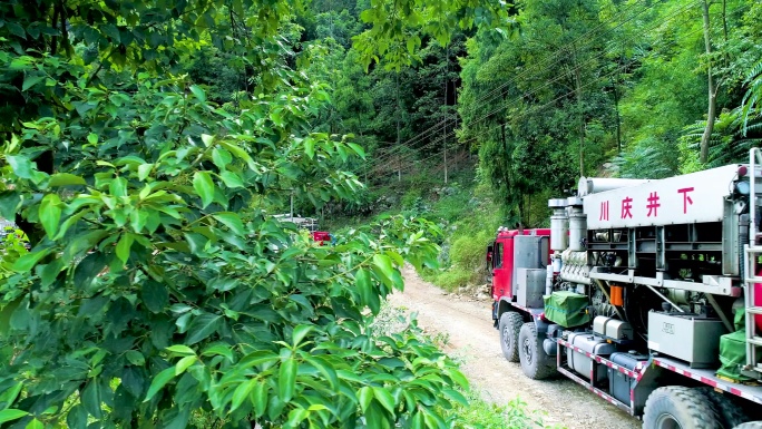 航拍树林 航拍田园风光