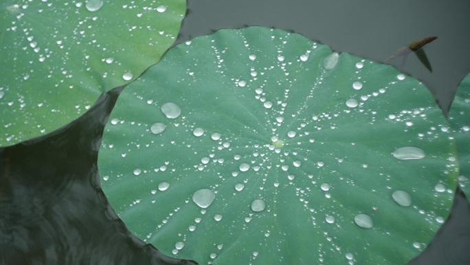 雨落