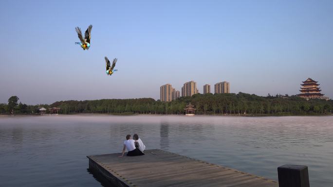 4K宁波奉化仁湖公园夏日傍晚比翼鸟儿