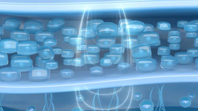 MAX+成品细胞 美容 补水皱纹 皮肤