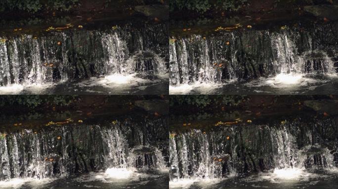 水中有叶子的小瀑布的超慢运动