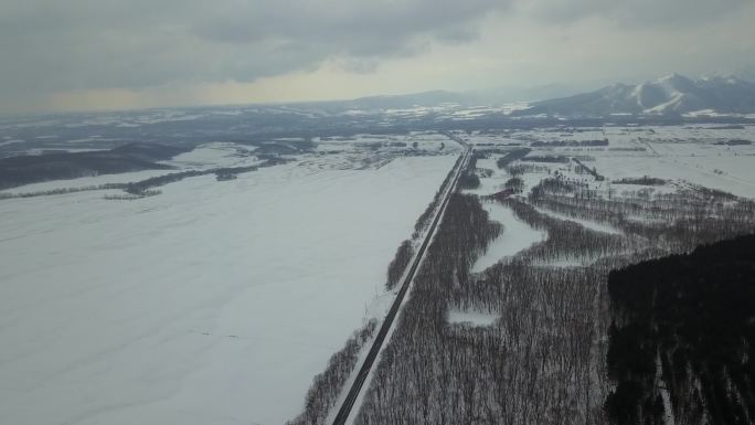 原创 日本北海道雪原公路自驾游风光航拍