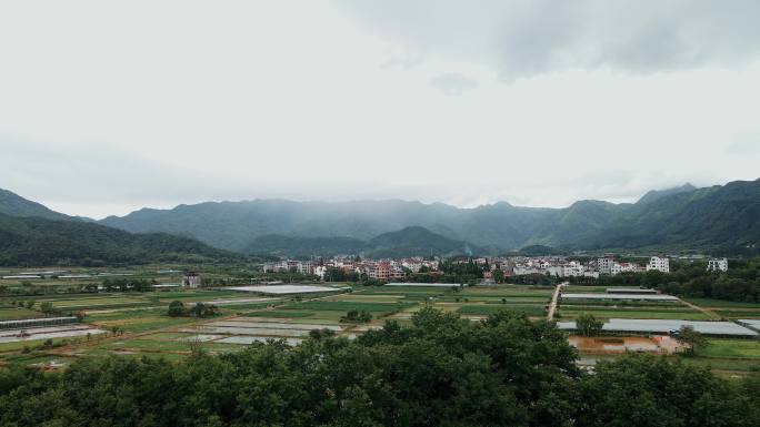 永康大陈村山里