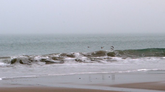 海浪拍打着海滩的慢镜头