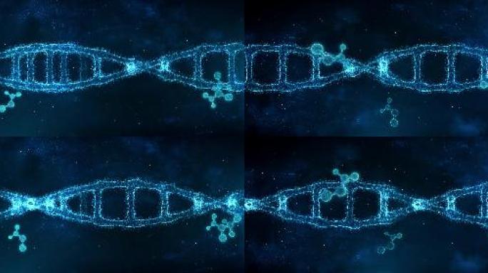 科技基因DNA