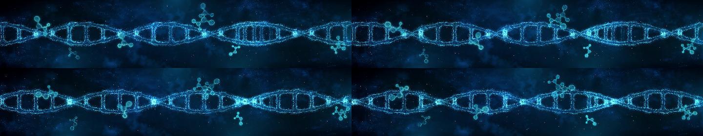 科技基因DNA