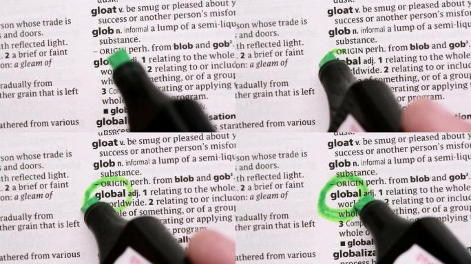 在字典中用马克笔标出单词特写