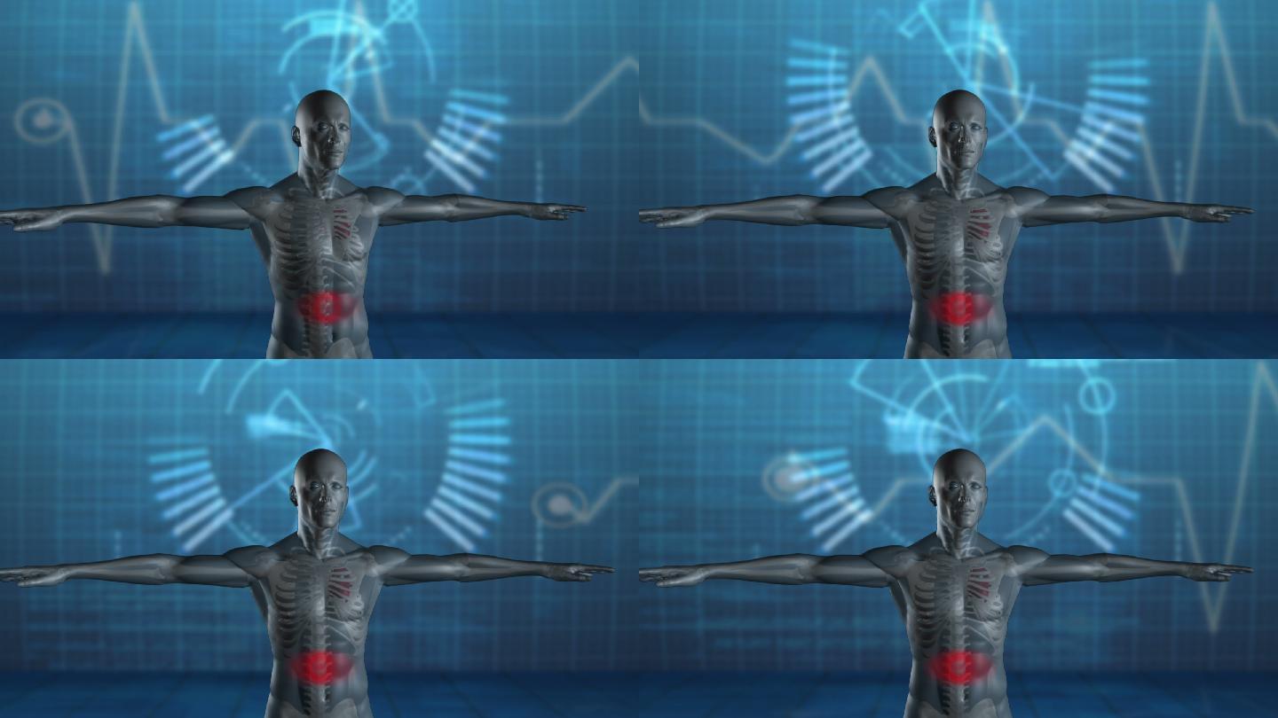 数字网格背景上旋转的人体3D动画特效