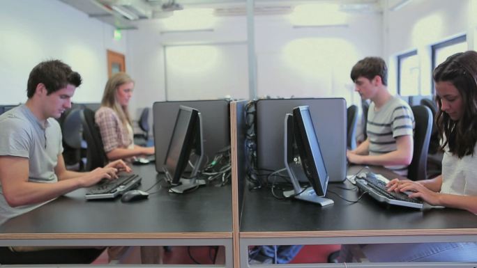 计算机班的学生在大学工作