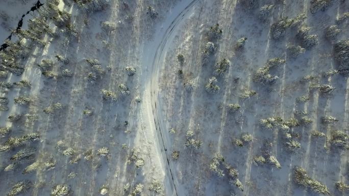 原创 日本北海道大雪山国家公园森林公路