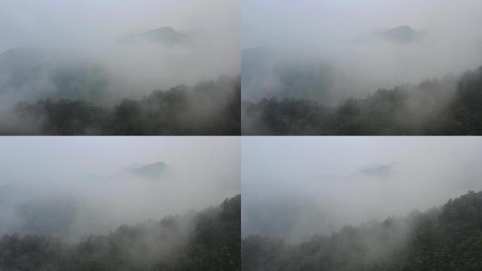 雾气弥漫的山脉