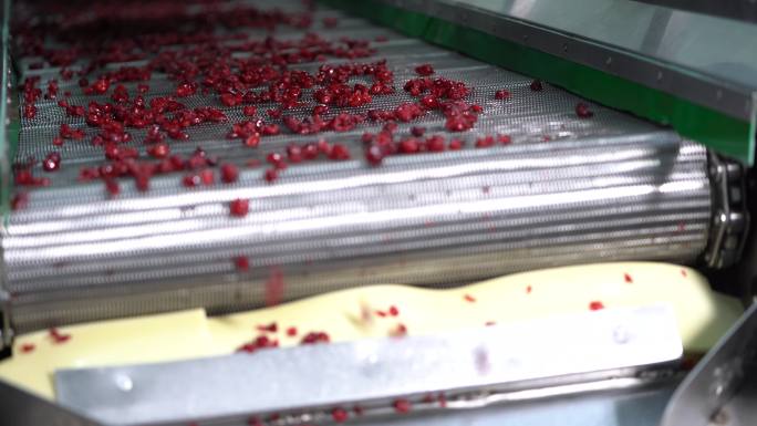 零食干果蔓越莓生产线加工车间
