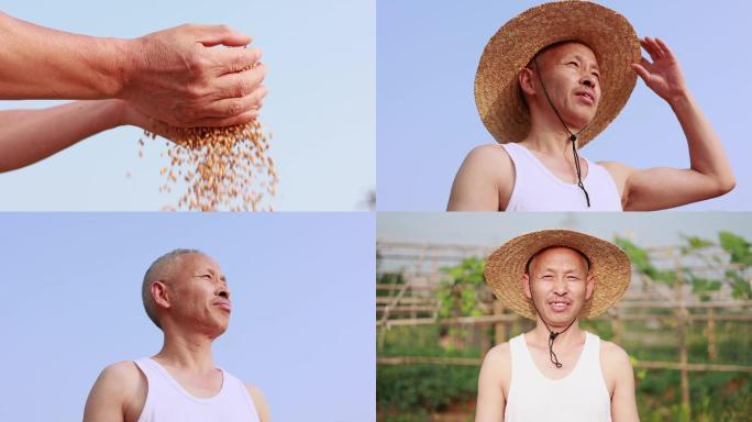 【合集】老农农民丰收纯朴笑容眼神