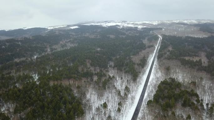 原创 日本北海道阿寒湖冬季森林公路风光