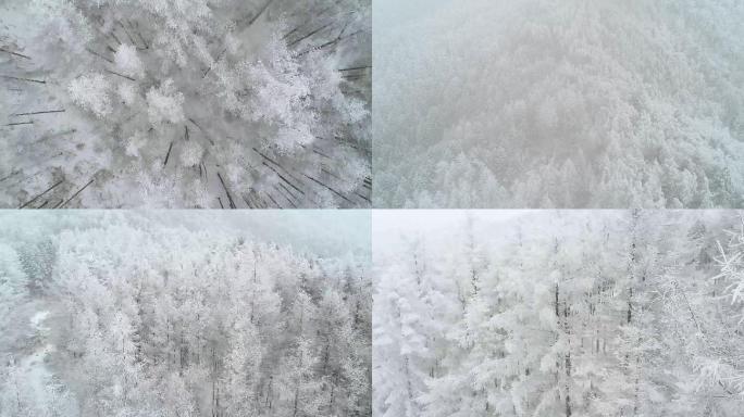 秦岭 雪景  冬天 航拍 大自然