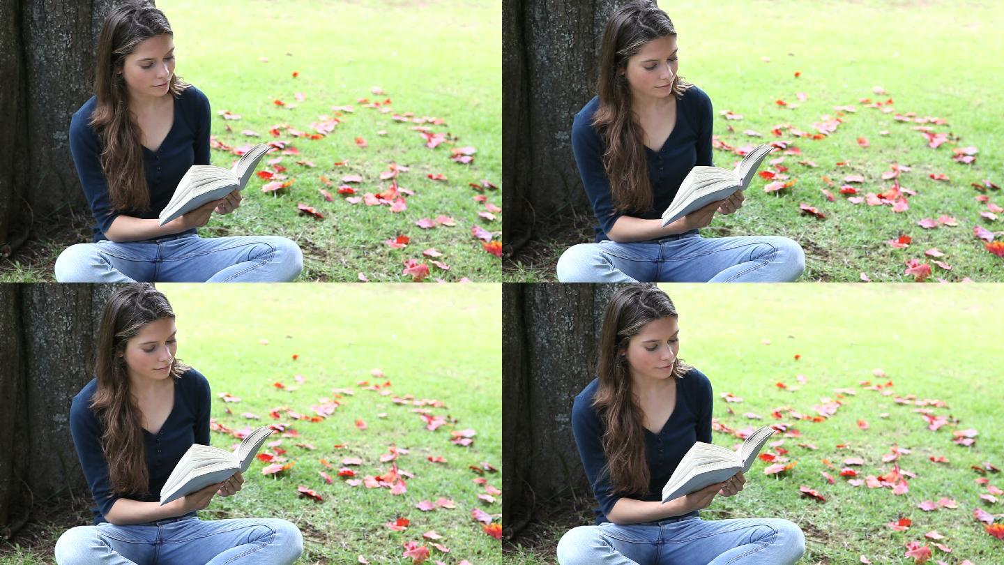 一个女人坐在树下看书特写