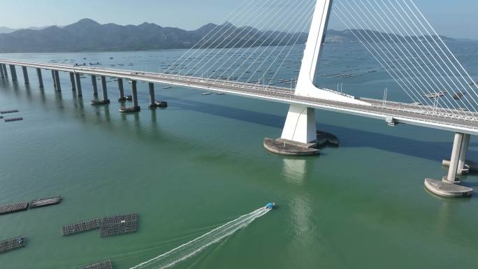 深圳湾大桥的快艇