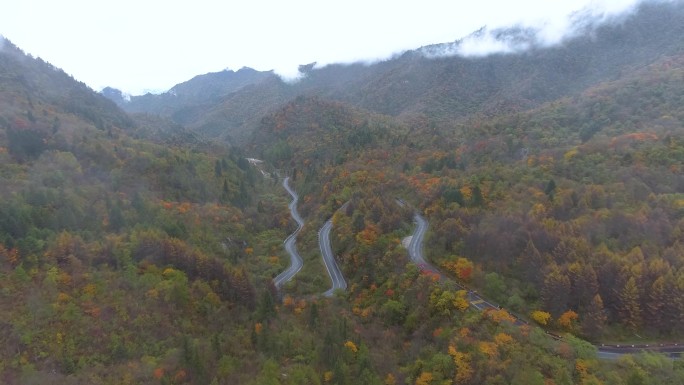 秦岭 秋天  航拍 生态 大自然