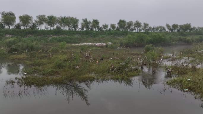 暴雨洪水消退后河边垃圾