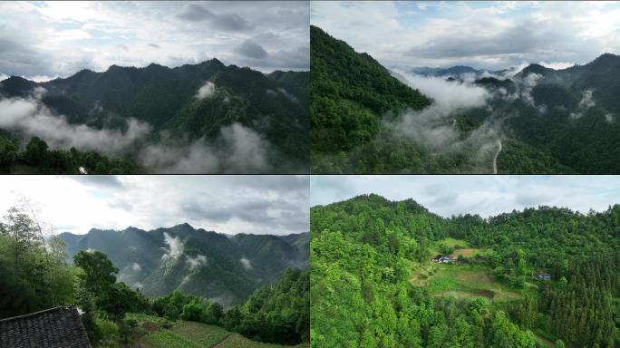 大自然 云雾 绿色风景 乡村道路 纪录片