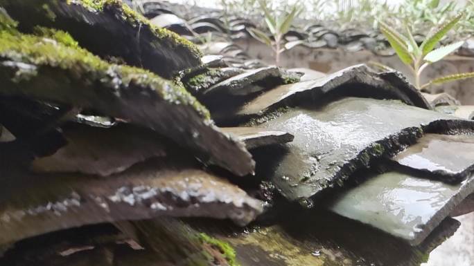 谷雨春分下春季下雨天瓦面祖屋屋檐印象记忆