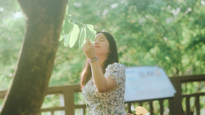 树林阳光 旅行 大自然唯美写意