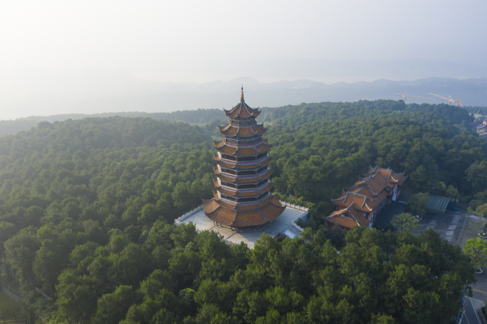 航拍重庆铁山坪森林公园