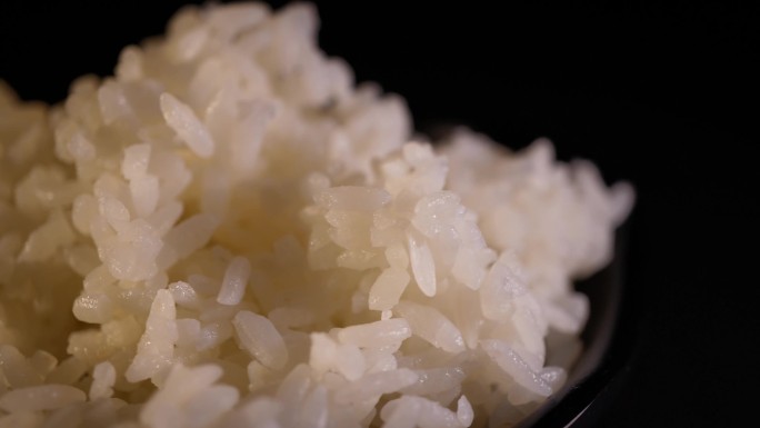 主食水稻大米饭 (5)