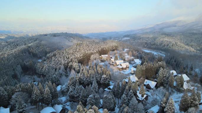 雪后九重森1